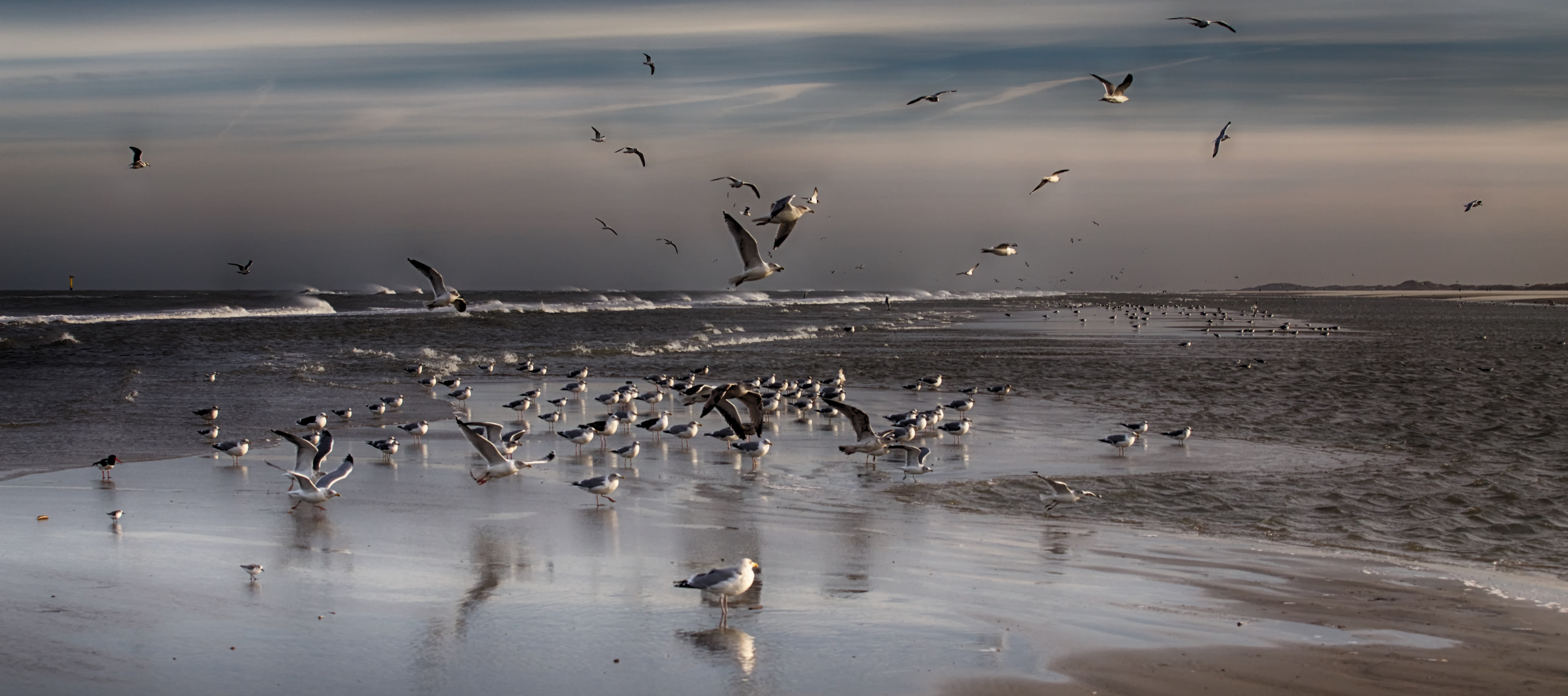 Strand op Terschelling, gefotografeerd door Noordhuis Fotografie